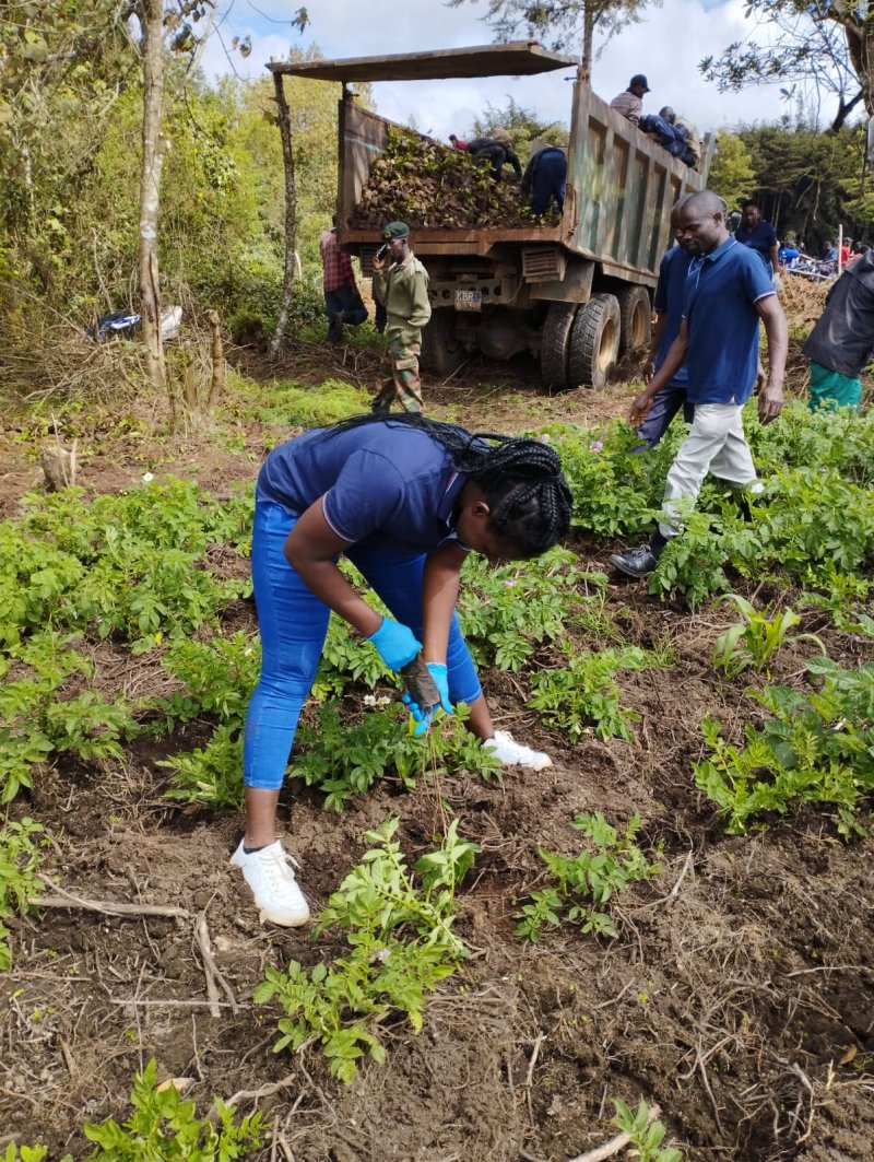 Tree Planting 2023 Kimende